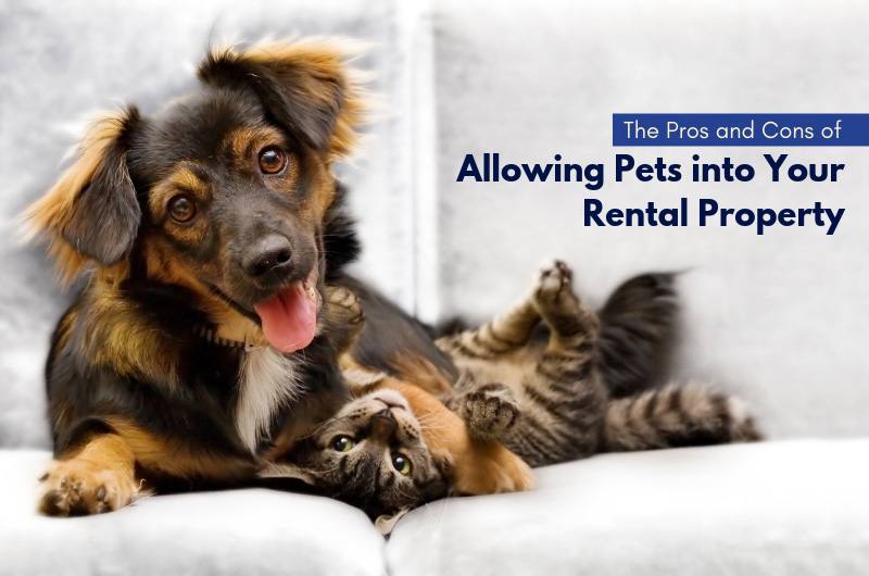 The Pros and Cons of Allowing Pets into Your Rental Property