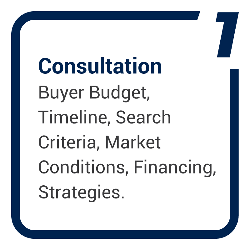 Consultation: Buyer Budget, Timeline, Search Criteria, Market Conditions, Financing, Strategies.