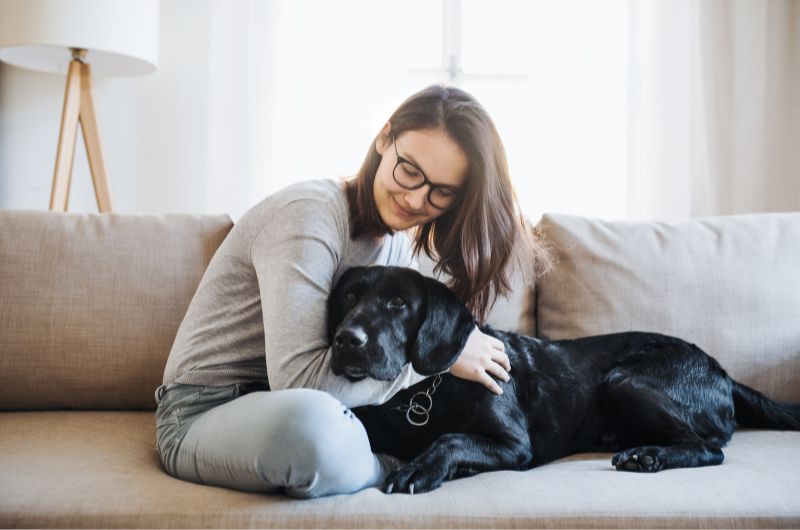 Why Are Pet Owners More Likely To Renew Their Lease?