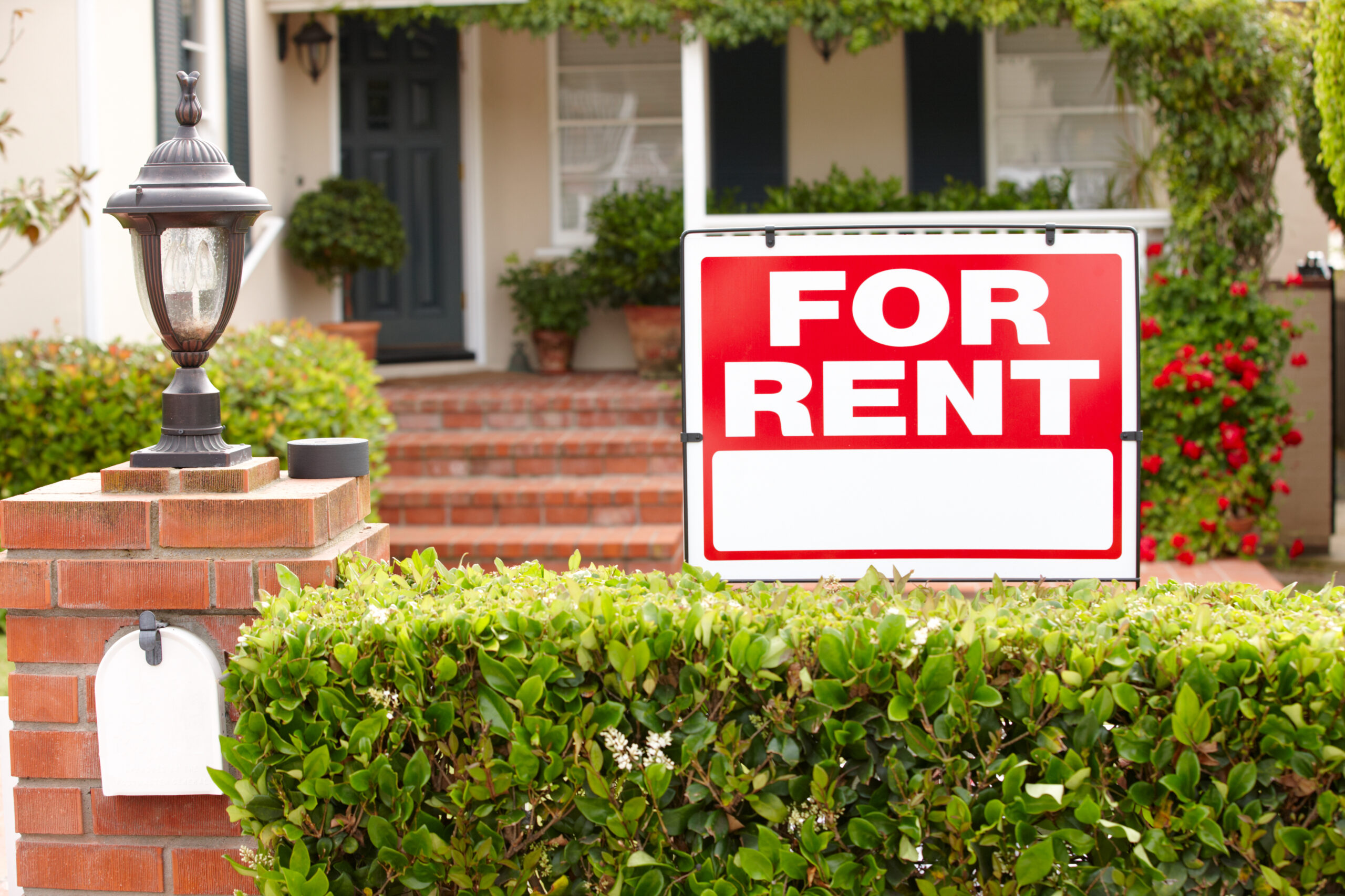 A for-rent sign posted on top of a bush next to a white mailbox with a blurred image of a house in the background.